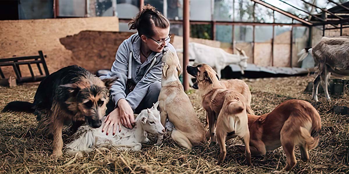 Ukraine farm animals